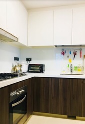 Riversound Residence (D19), Condominium #170950262